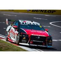 Biante 1/43 Holden ZB Commodore - Nick Percat - Brad Jones Racing - Race 1 - Repco Mt Panorama 500 Diecast Car