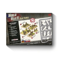 Team Yankee WWIII Soviet Motor Rifle Platoon (x40 figs plastic)