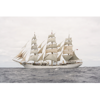 Billings 1/75 Danmark Sail Wooden Model Ship