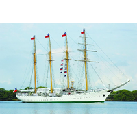 Billings 1/100 Esmeralda Sail Wooden Model Ship