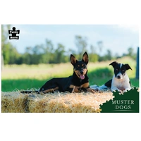Puzzle Master Muster Dogs Kelpie & Border Collie 1000pc Jigsaw Puzzle
