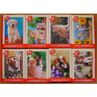 Castorland 80pc Mini Animal Puzzles Assorted (Each) C08514-Z