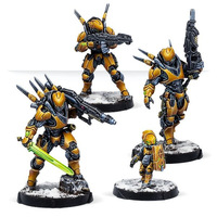 Corvus Belli Infinity: Yu Jing: Shang Ji Invincibles