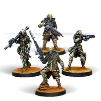 Corvus Belli Infinity: Haqqislam: Zhayedan Intervention Troops