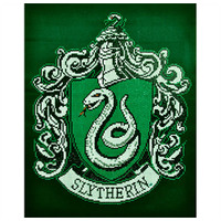 Diamond Dotz Harry Potter Slytherin Crest (DDHP.1001) 40 x 50cm Warner Bros Harry Potter