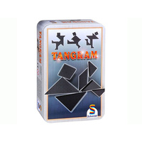 Tangram In tin