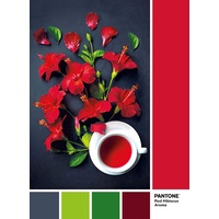 Clementoni 1000pc Pantone Red Jigsaw Puzzle