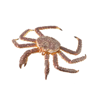Collecta King Crab (XL)