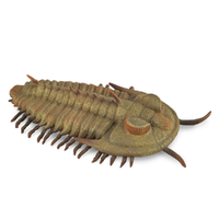 Collecta Redlichia Rex Trilobyte