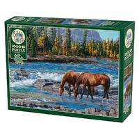 Cobble Hill 1000pc On The Rocks Jigsaw Puzzle 40267