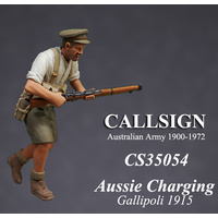 Callsign 1/35 ANZAC Attacking