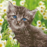 Diamond Dotz Diamond Art Kit, Kitten 30 x 30cm
