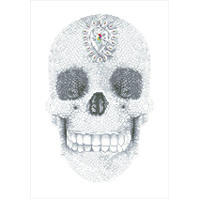 Diamond Dotz Kit, Crystal Skull, 42 x 60cm