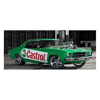 DDA 1/24 Castrol Hanful 1973 Holden Monaro HQ GTS Custom Green 205 Diecast