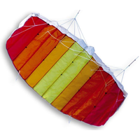 Didakites Match 120cm x 65cm Power Kite DI21120