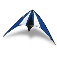 Didakites Citybird 145cm x 78cm Stunt Kite DI23150