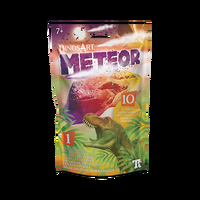 DinosArt Collectible Meteor Stone 10 to collect