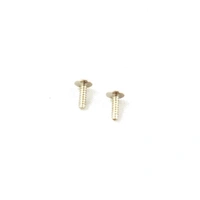 Dualsky Small Servo Mounting Screws, 2pcs