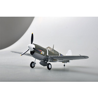 Easy Model 1/48 P-40M 44FS,18FG Assembled Model [39311]