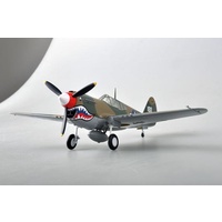 Easy Model 1/48 P-40M China 1945 Assembled Model [39313]