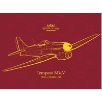 Eduard R0018 1/48 Tempest Mk. V Dual combo R0018 plastic model kit