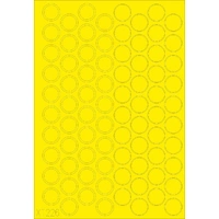 Eduard 1/35 Brummbär Mask XT226