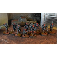 BLKOUT MANTICOR: Borz Group Force