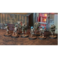 BLKOUT UN: Raid Team Alpha Force