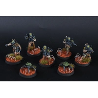 BLKOUT HARLOW Strikeforce