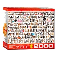Eurographics 2000pc The world Cats