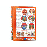 Eurographics 1000pc The Brain Jigsaw Puzzle 