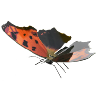 Metal Earth Butterfly Eastern Comma