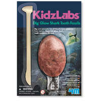 4M - KidzLabs - Shark Tooth Fossil