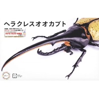 Fujimi Biology Edition Dynastes Hercules You Morinaga Explanatory notes and Instructions ver.  Plastic Model Kit