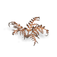 Gamers Grass Laser Plants - Dry Bracken