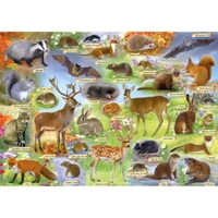 Gibsons 500pc British Wildlife Jigsaw Puzzle