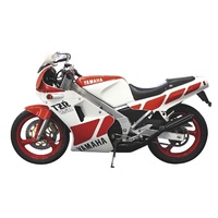 Hasegawa 1/12 Yamaha TZR250 (1KT) Plastic Model Kit