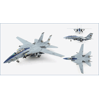 Hobby Master 1/72 Grumman F-14D Tomcat No 164347, VF-213 Black Lions, 2006 "Final Cruise"