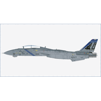 Hobby Master 1/72 Grumman F-14B Tomcat "OEF" 163220, VF-143 "Pukin Dogs", 2002