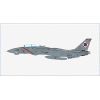 Hobby Master 1/72 Grumman F-14B Tomcat 163225, VF-102 Diamondbacks , 2002 "OEF"