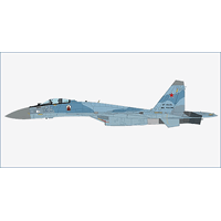 Hobby Master 1/72 Su-35S Flanker E Blue 25, 22nd IAP, 303rd DPVO, 11th Air Army, VKS (Russian Aerospace Forces) Diecast Aircraft