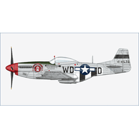 Hobby Master 1/48 P-51D Mustang 335 FS/4 FG "Captain Ted Lines" Diecast Model Aircraft