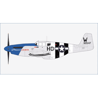 Hobby Master 1/48 P-51C "Princess Elizabeth" 43-25147, "The Gathering of Mustangs & Legends", Sept 2007 Die-Cast Aircraft