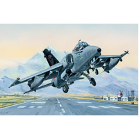 HobbyBoss 1/48 AMX Ground Attack 81741 Plastic Model Kit