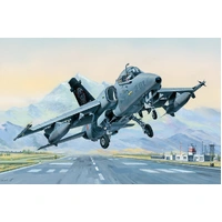 HobbyBoss 1/48 AMX Ground Attack 81741 Plastic Model Kit
