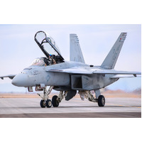 HobbyBoss 1/48 F/A-18F Super Hornet Plastic Model Kit [85813]