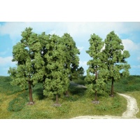 Heki Beech Trees 6pk 18cm