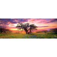 Heye 2000pc Panorama Oak Tree