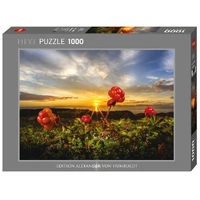 Heye 1000pc Alexander Von Humbold Cloudberries Jigsaw Puzzle
