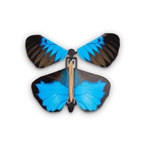 Wind Up Australian Butterflies